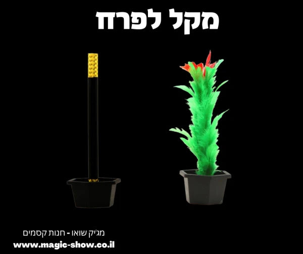 מקל קסמים לפרח מקל קסמים שהופך לפרח